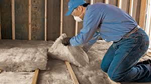 Best Eco-Friendly or Green Insulation Solutions  in Fulshear, TX